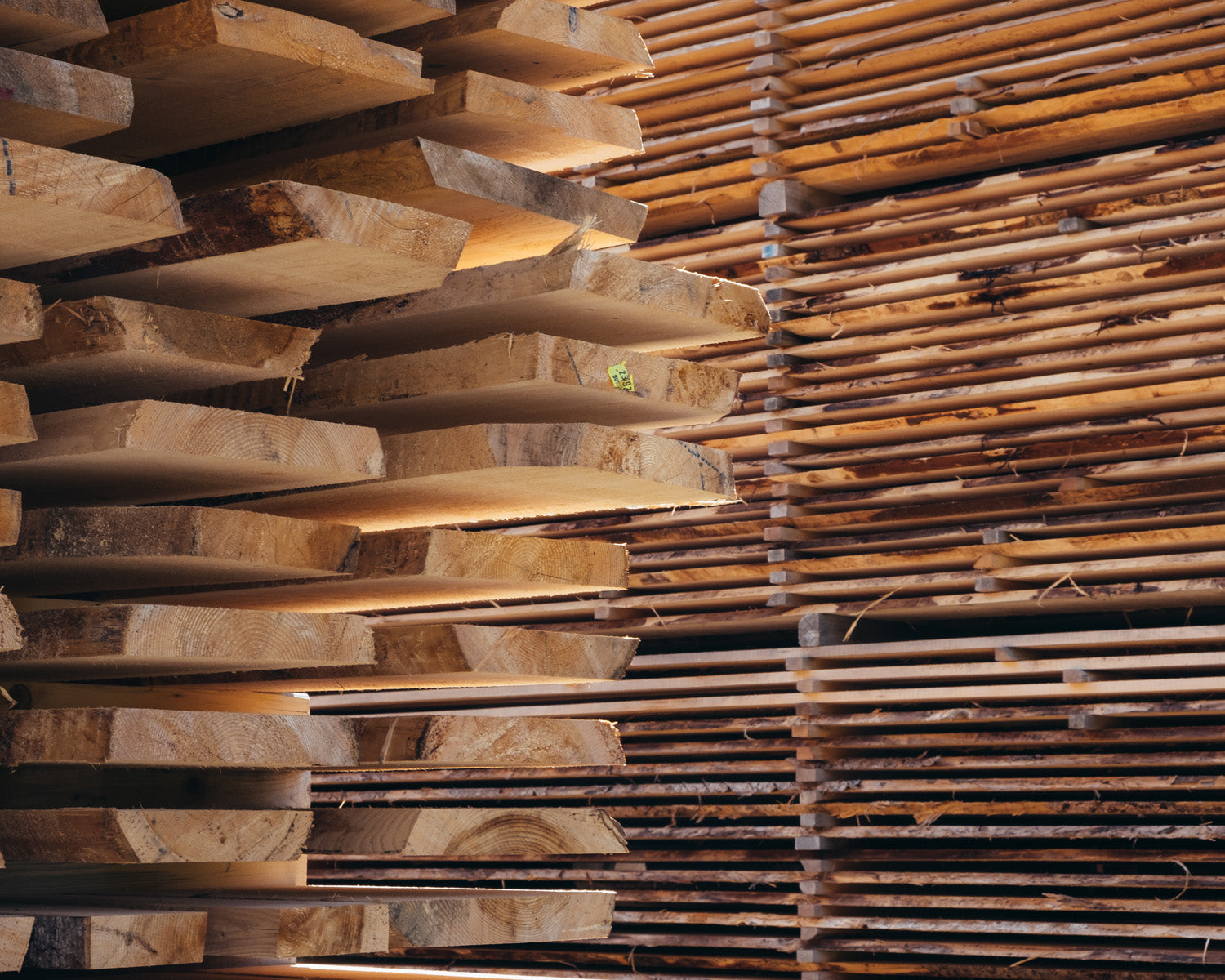 Designing for Sustainability