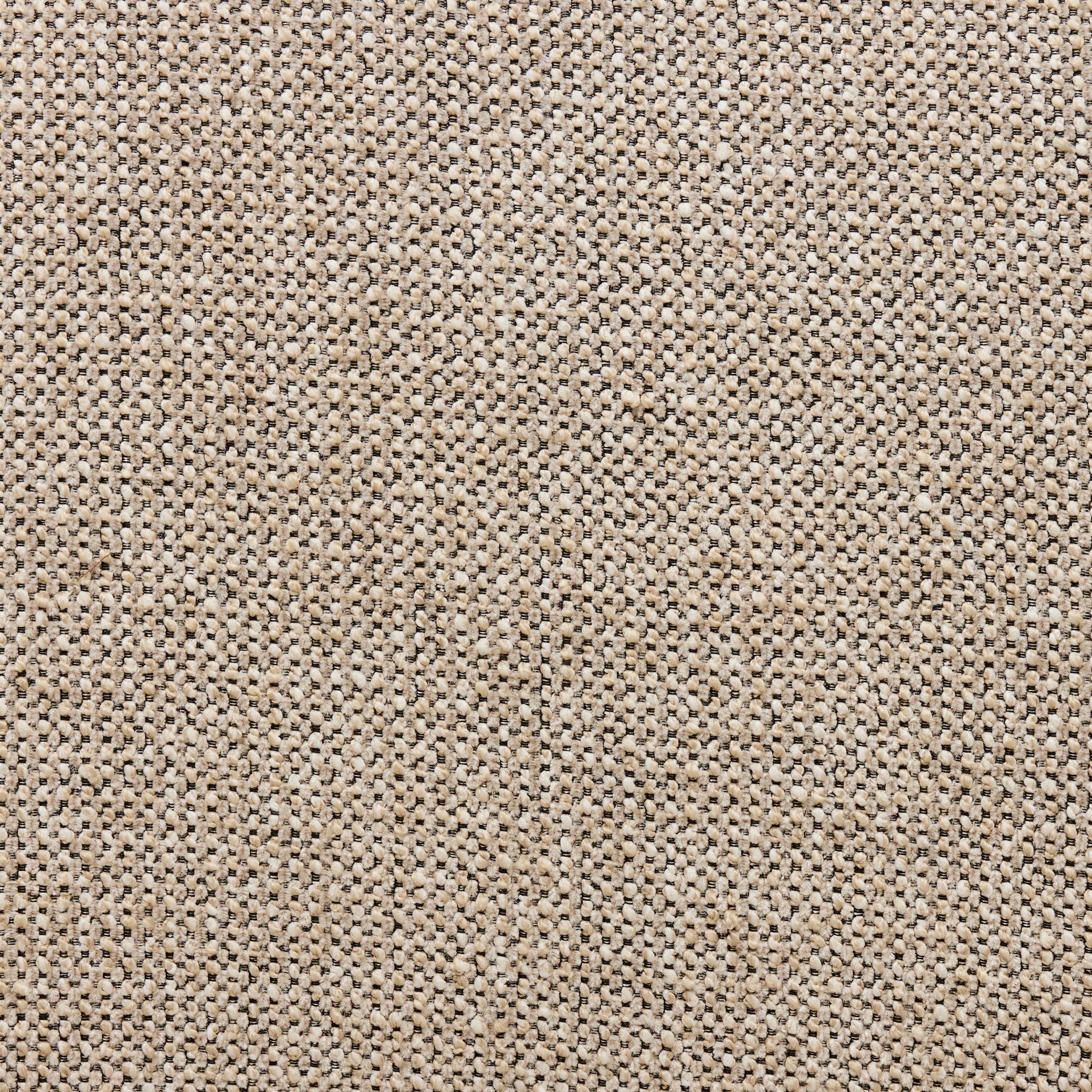 Cleo Swivel Chair Hazel