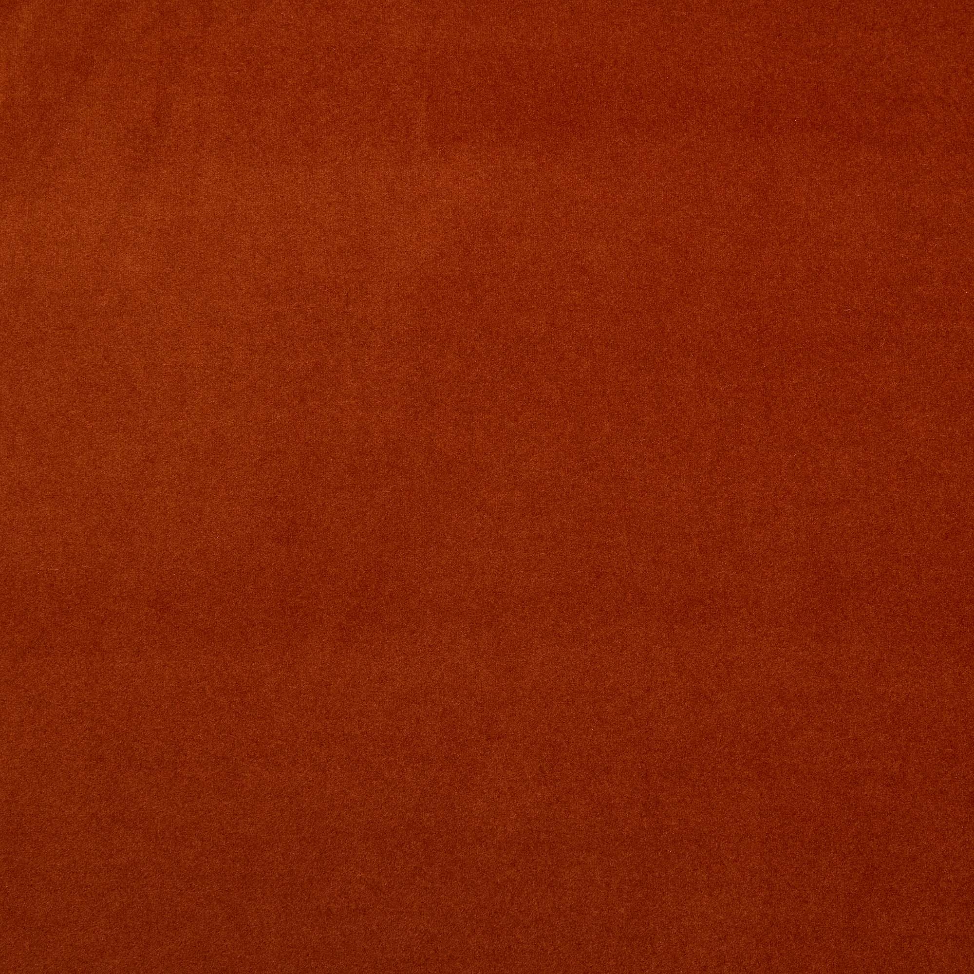 Adele Chair Tangerine Velvet