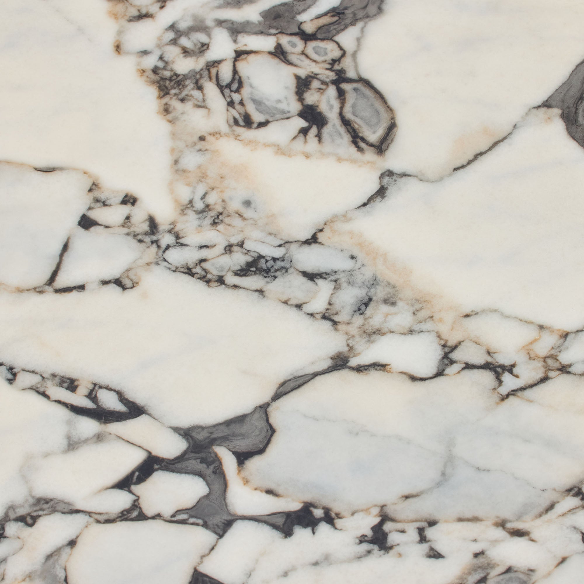 Lola Coffee Table Walnut Tempest Marble Large