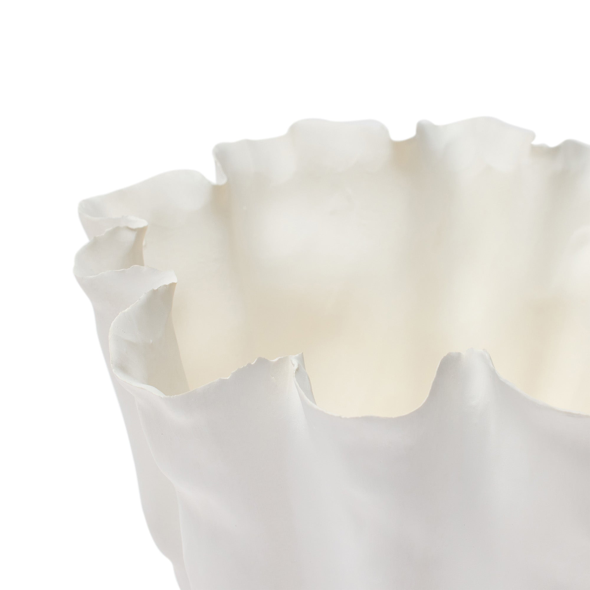Sara Vase White