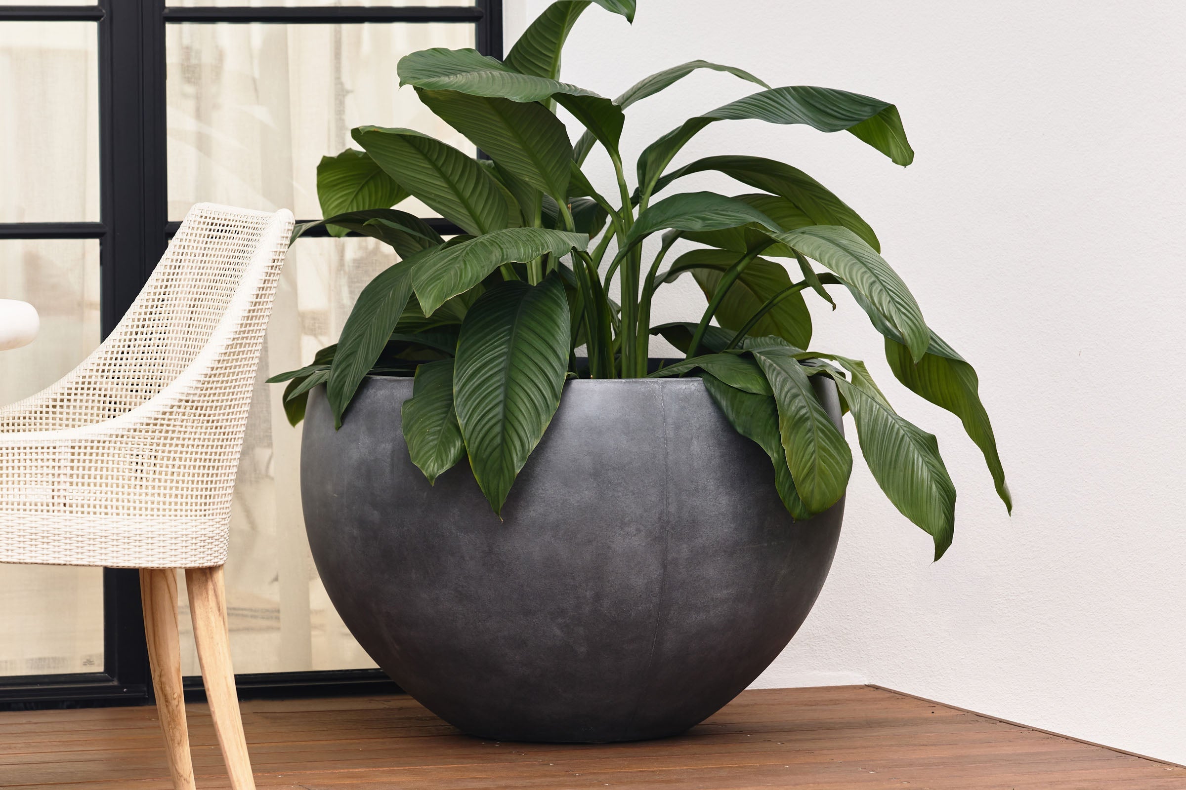 Large Pots & Planters