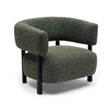 Kengo Occasional Chair Fern Green